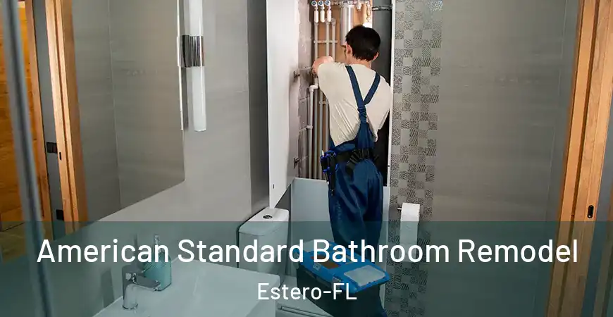 inner Bathroom imggen American Standard Bathroom Remodel Estero-FL