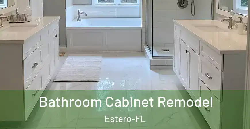 inner Bathroom imggen Bathroom Cabinet Remodel Estero-FL