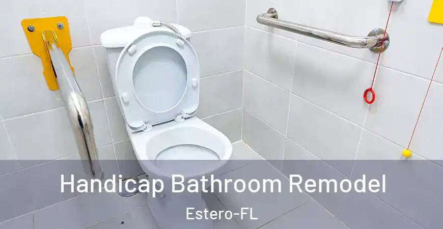 inner Bathroom imggen Handicap Bathroom Remodel Estero-FL