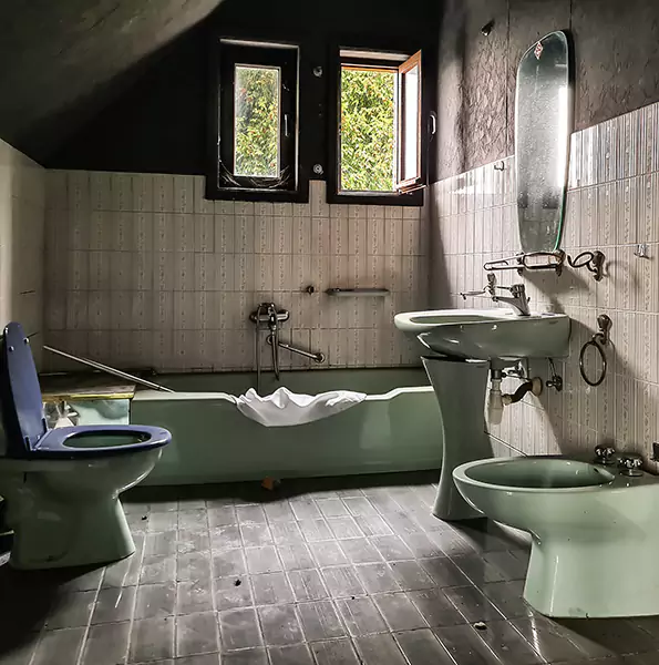 Why Estero Property Owners Pick Estero Bathroom Remodeling For 1960 Bathroom Remodel?