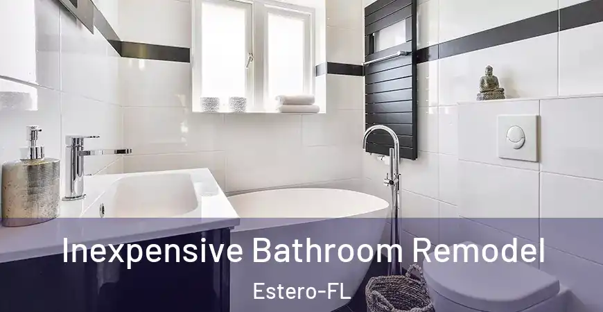 inner Bathroom imggen Inexpensive Bathroom Remodel Estero-FL