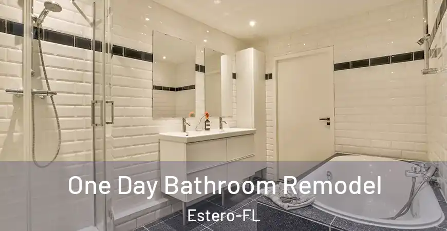 inner Bathroom imggen One Day Bathroom Remodel Estero-FL