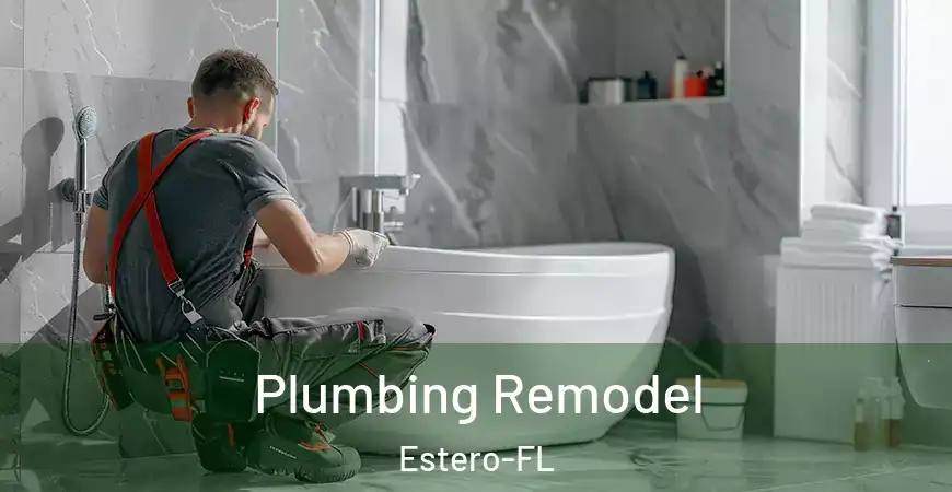 inner Bathroom imggen Plumbing Remodel Estero-FL