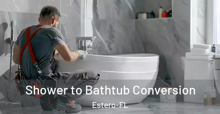 inner Bathroom imggen Shower to Bathtub Conversion Estero-FL