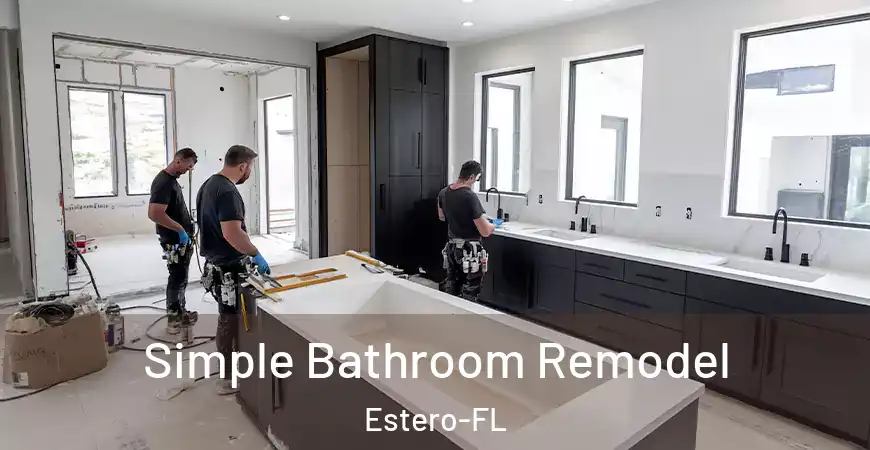 inner Bathroom imggen Simple Bathroom Remodel Estero-FL