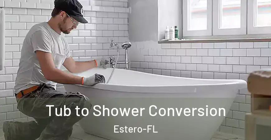 inner Bathroom imggen Tub to Shower Conversion Estero-FL